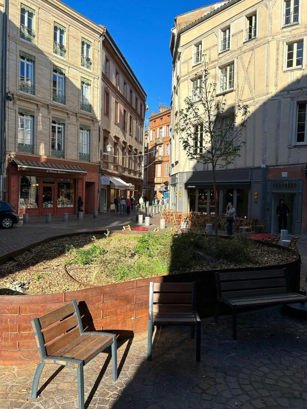 T1Bis-Cosy-Place Salengro-Metro Toulouse Exteriör bild